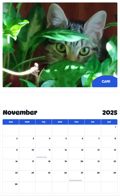 July 2025 - June 2026 Cami - Pawidols Pet Calendar