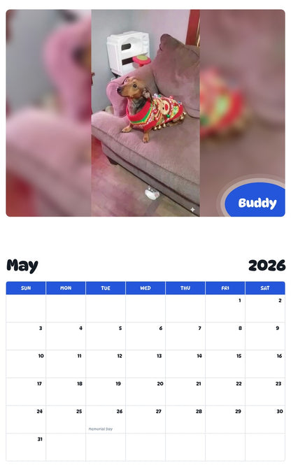 2026 - 2027 Buddy - Pawidols Pet Calendar