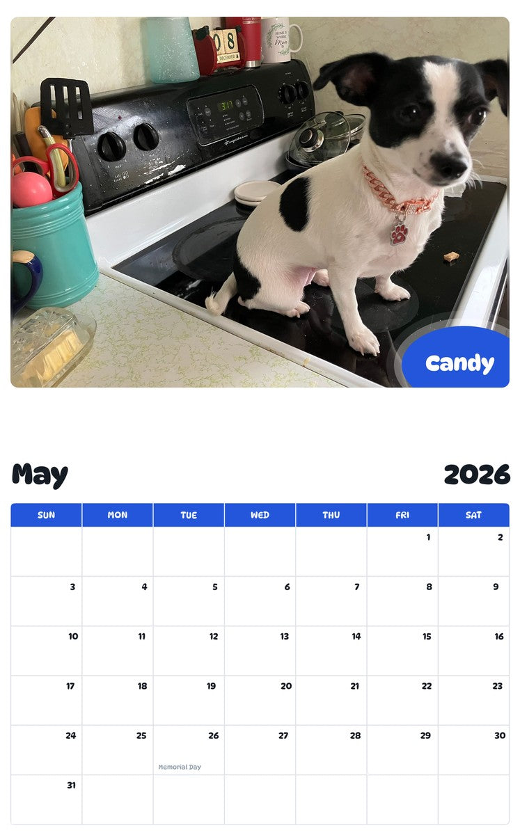 2026 - 2027 Candy - Pawidols Pet Calendar