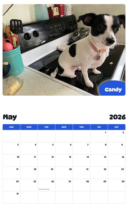 2026 - 2027 Candy - Pawidols Pet Calendar