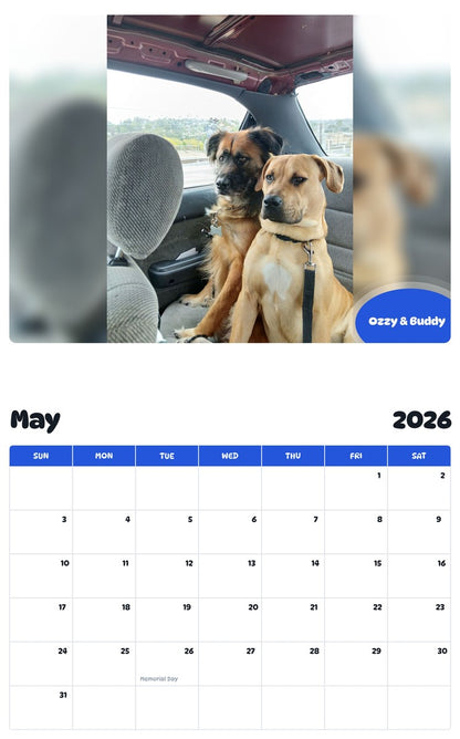 2026 - 2027 Ozzy & Buddy - Pawidols Pet Calendar