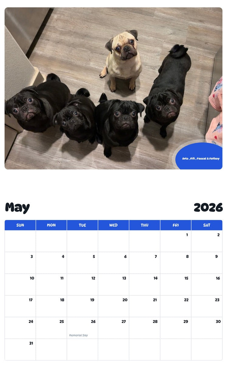 2026 - 2027 Arlo , Fifi , Pascal & Fatboy - Pawidols Pet Calendar