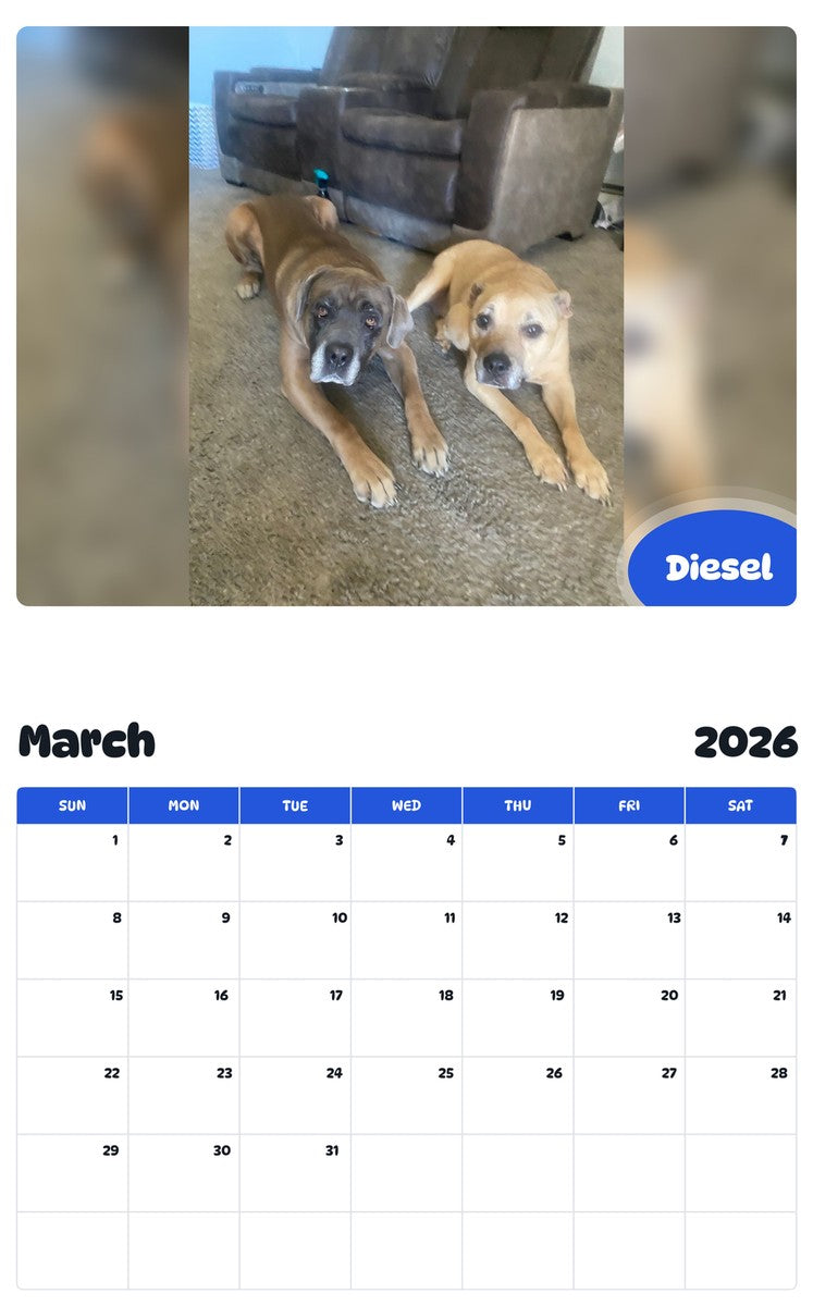 November 2025 - October 2026 Diesel - Pawidols Pet Calendar