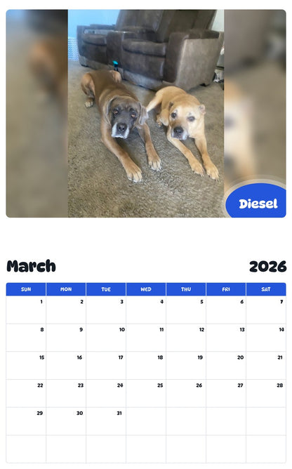 November 2025 - October 2026 Diesel - Pawidols Pet Calendar
