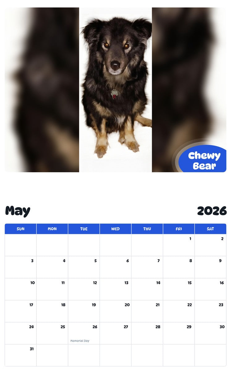 2026 - 2027 Chewy Bear - Pawidols Pet Calendar