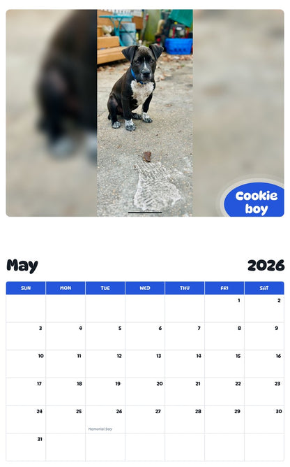 2026 - 2027 Cookie boy - Pawidols Pet Calendar