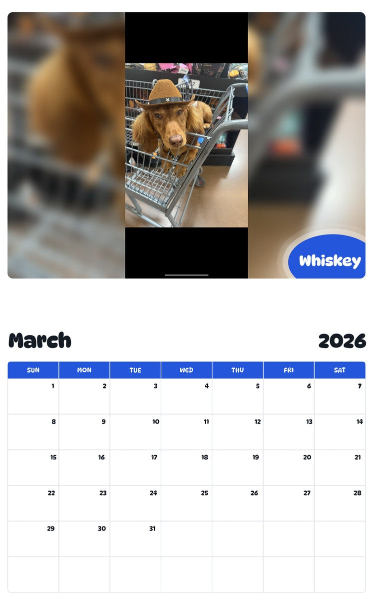 November 2025 - October 2026 Whiskey - Pawidols Pet Calendar