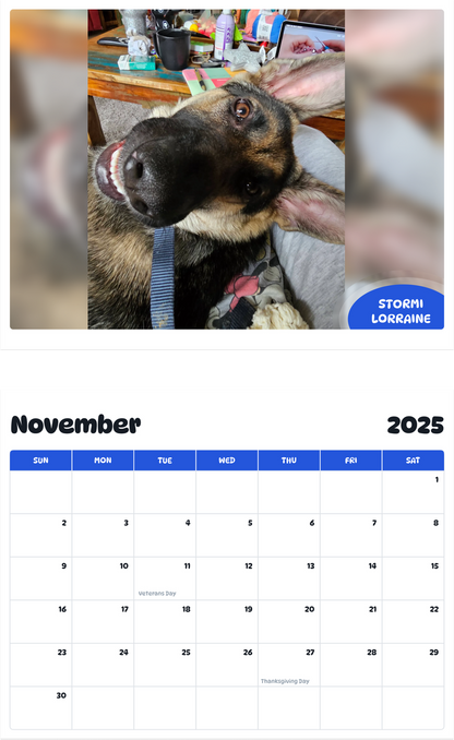 July 2025 - June 2026 Stormi Lorraine - Pawidols Pet Calendar