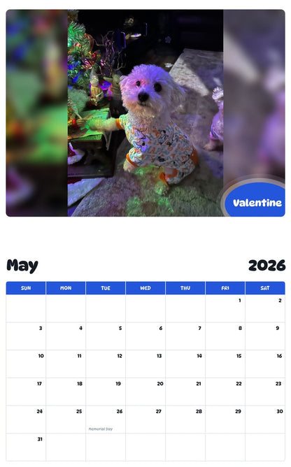 2026 - 2027 Valentine - Pawidols Pet Calendar