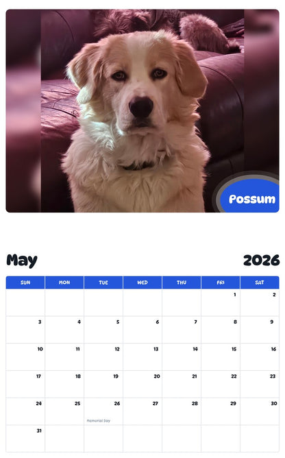 2026 - 2027 Possum - Pawidols Pet Calendar