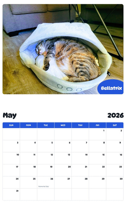 2026 - 2027 Bellatrix - Pawidols Pet Calendar