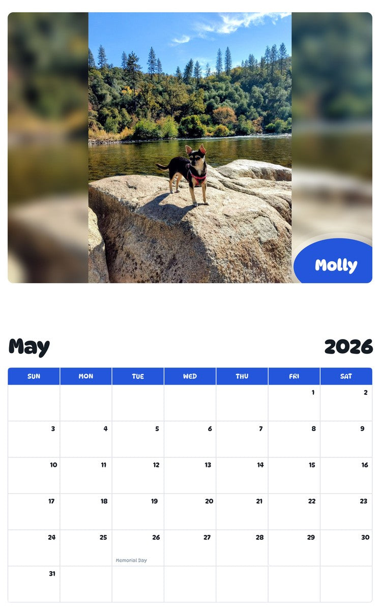 2026 - 2027 Molly - Pawidols Pet Calendar
