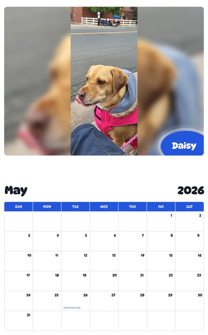 2026 - 2027 Daisy - Pawidols Pet Calendar