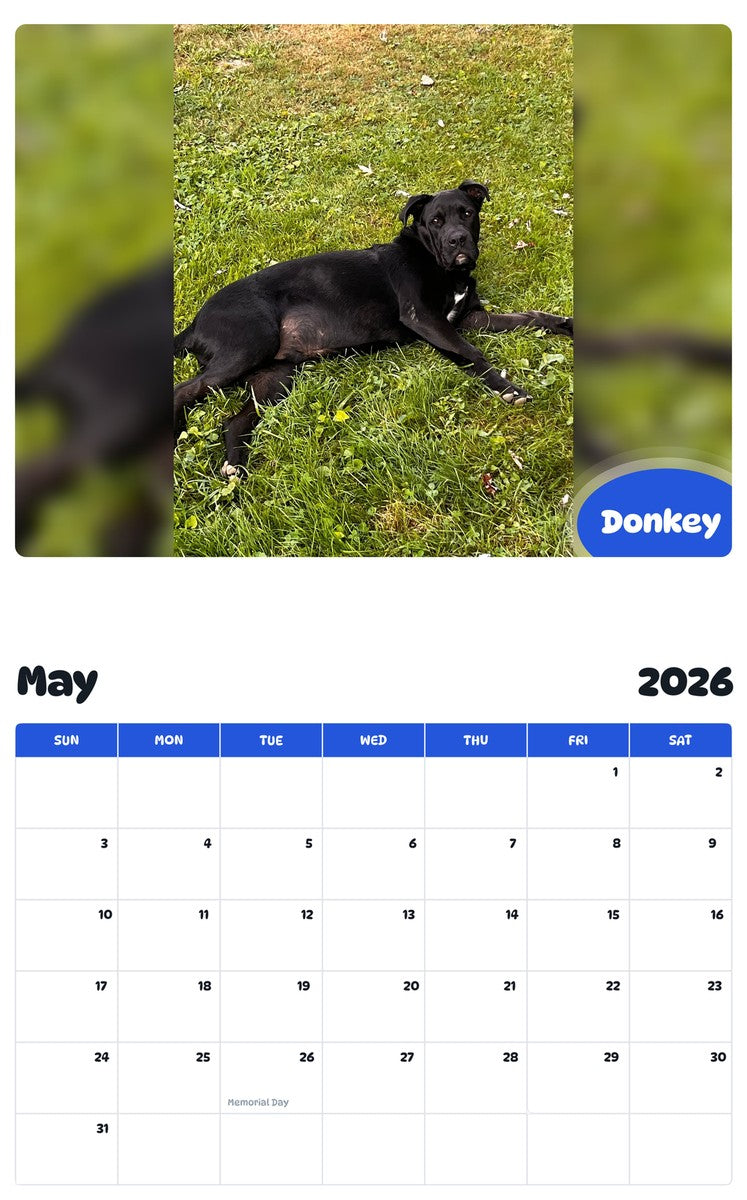 2026 - 2027 Donkey - Pawidols Pet Calendar