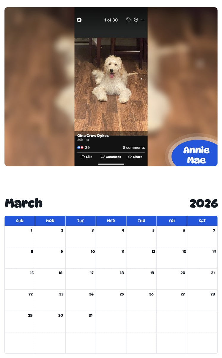 November 2025 - October 2026 Annie Mae - Pawidols Pet Calendar