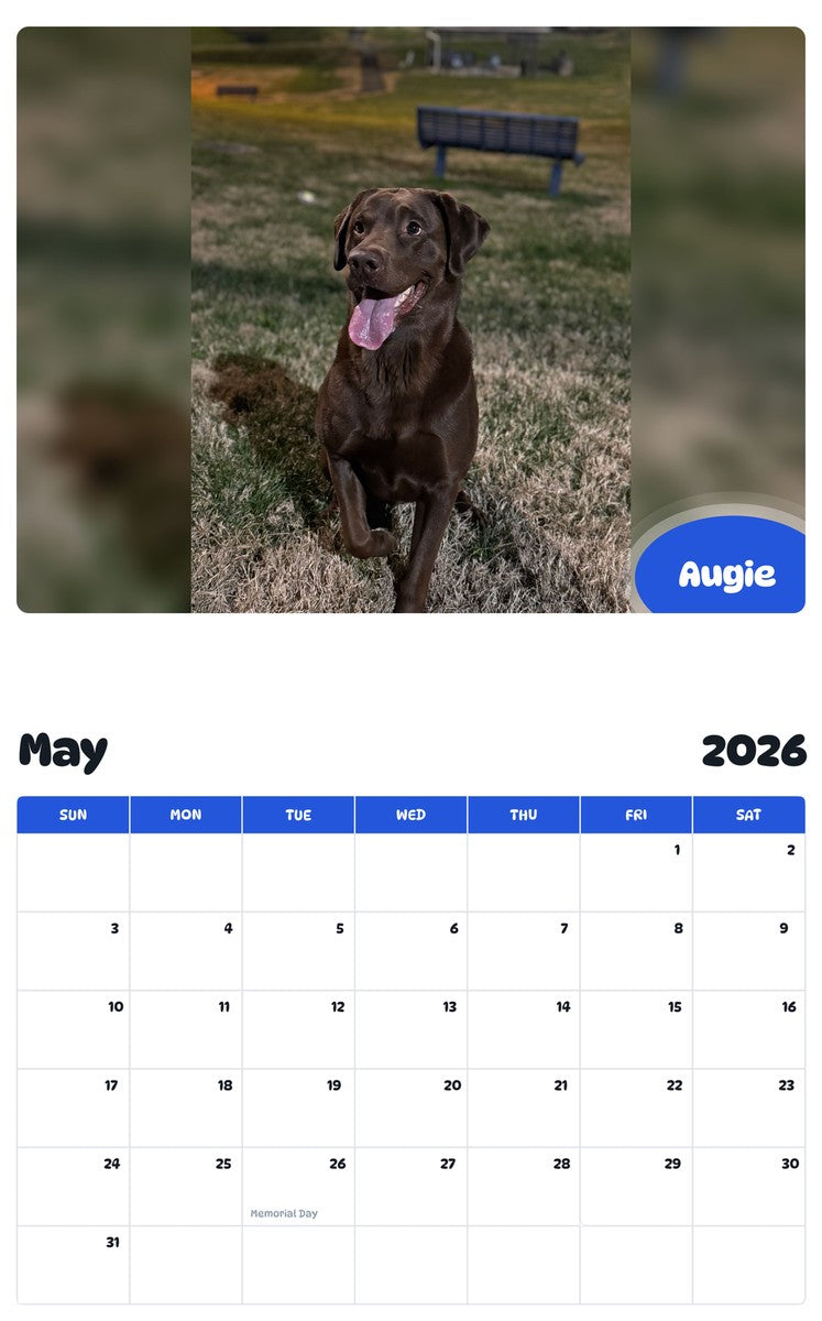 2026 - 2027 Augie - Pawidols Pet Calendar