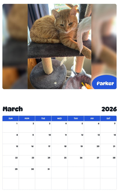 November 2025 - October 2026 Parker - Pawidols Pet Calendar