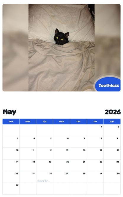 2026 - 2027 Toothless - Pawidols Pet Calendar
