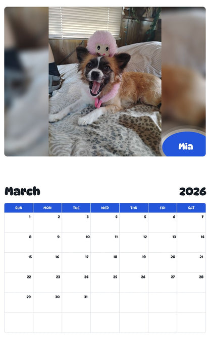 November 2025 - October 2026 Mia - Pawidols Pet Calendar