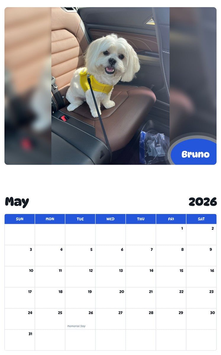 2026 - 2027 Bruno - Pawidols Pet Calendar