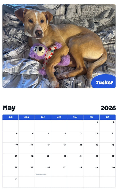 2026 - 2027 Tucker - Pawidols Pet Calendar