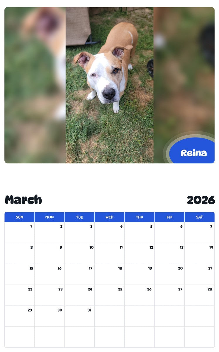 November 2025 - October 2026 Reina - Pawidols Pet Calendar