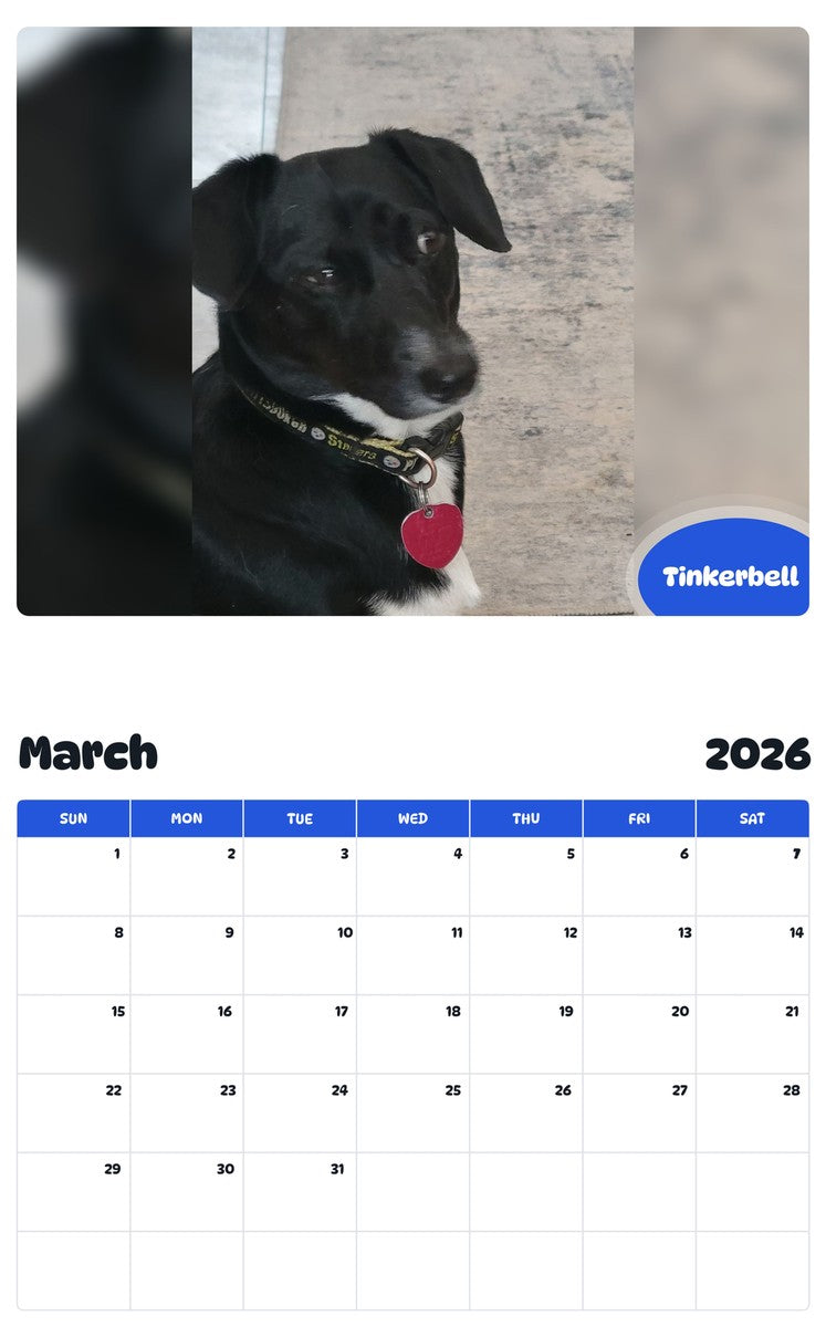 November 2025 - October 2026 Tinkerbell - Pawidols Pet Calendar