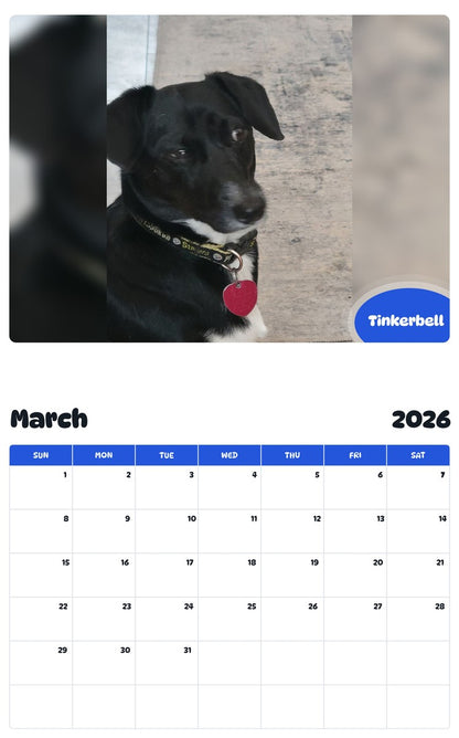 November 2025 - October 2026 Tinkerbell - Pawidols Pet Calendar