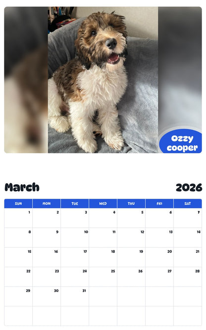 November 2025 - October 2026 Ozzy cooper - Pawidols Pet Calendar