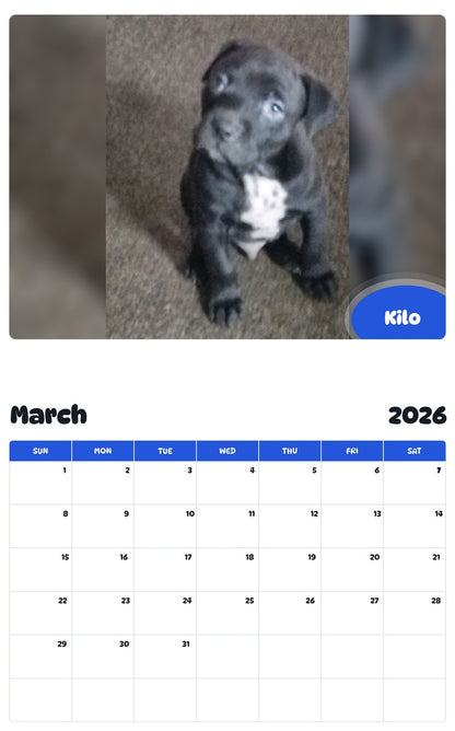 November 2025 - October 2026 Kilo - Pawidols Pet Calendar