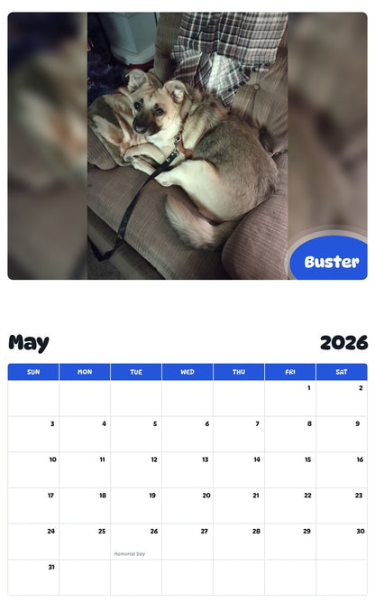 2026 - 2027 Buster - Pawidols Pet Calendar