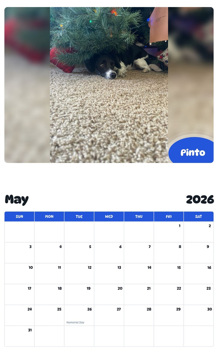 2026 - 2027 Pinto - Pawidols Pet Calendar