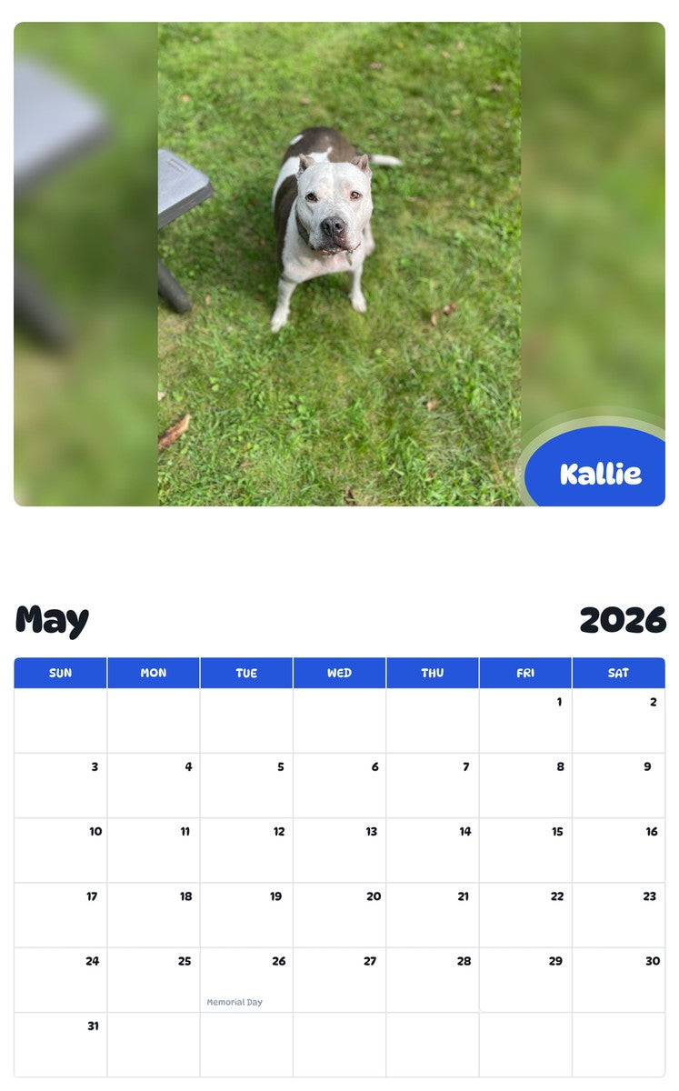 2026 - 2027 Kallie - Pawidols Pet Calendar