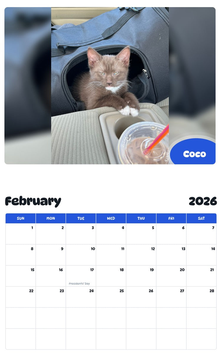 November 2025 - October 2026 Coco - Pawidols Pet Calendar