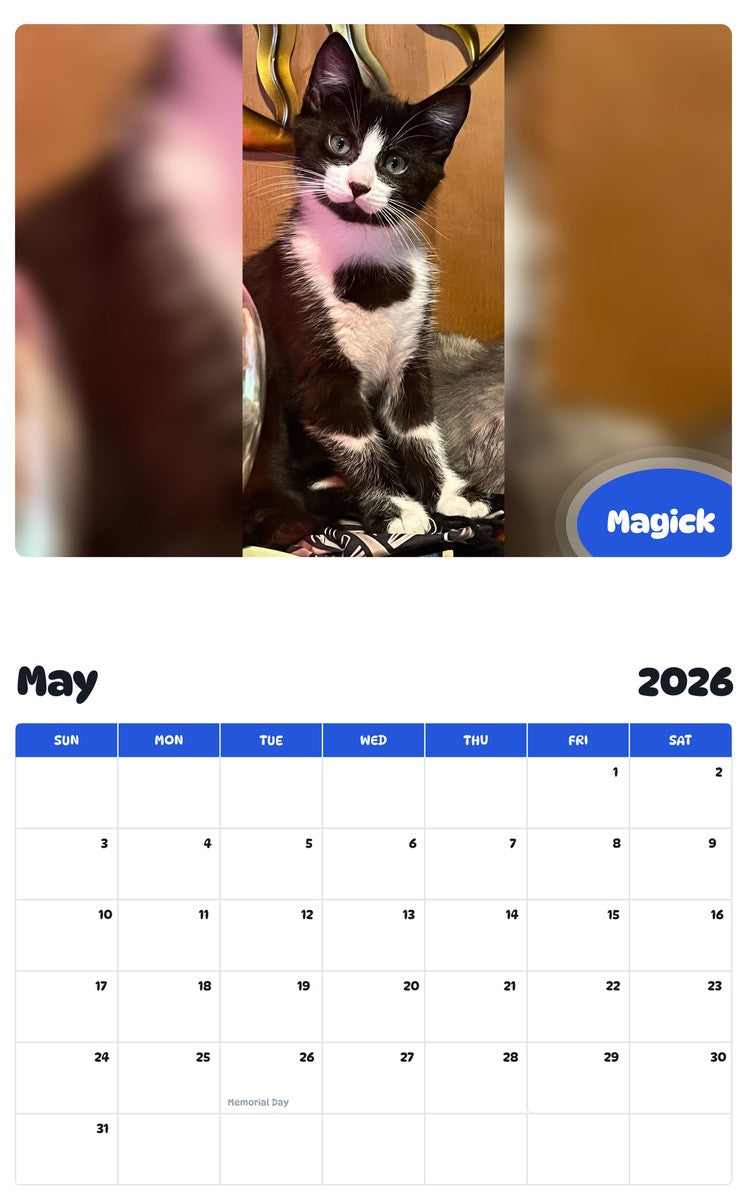2026 - 2027 Magick - Pawidols Pet Calendar