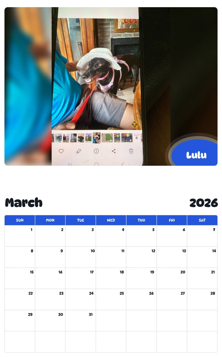 November 2025 - October 2026 Lulu - Pawidols Pet Calendar
