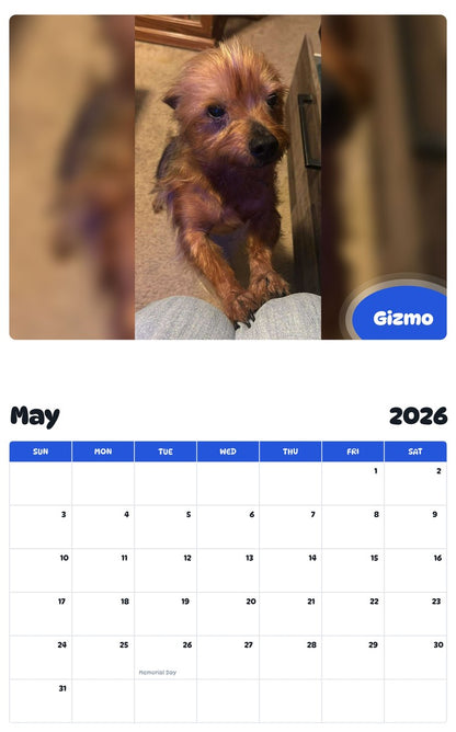 2026 - 2027 Gizmo - Pawidols Pet Calendar