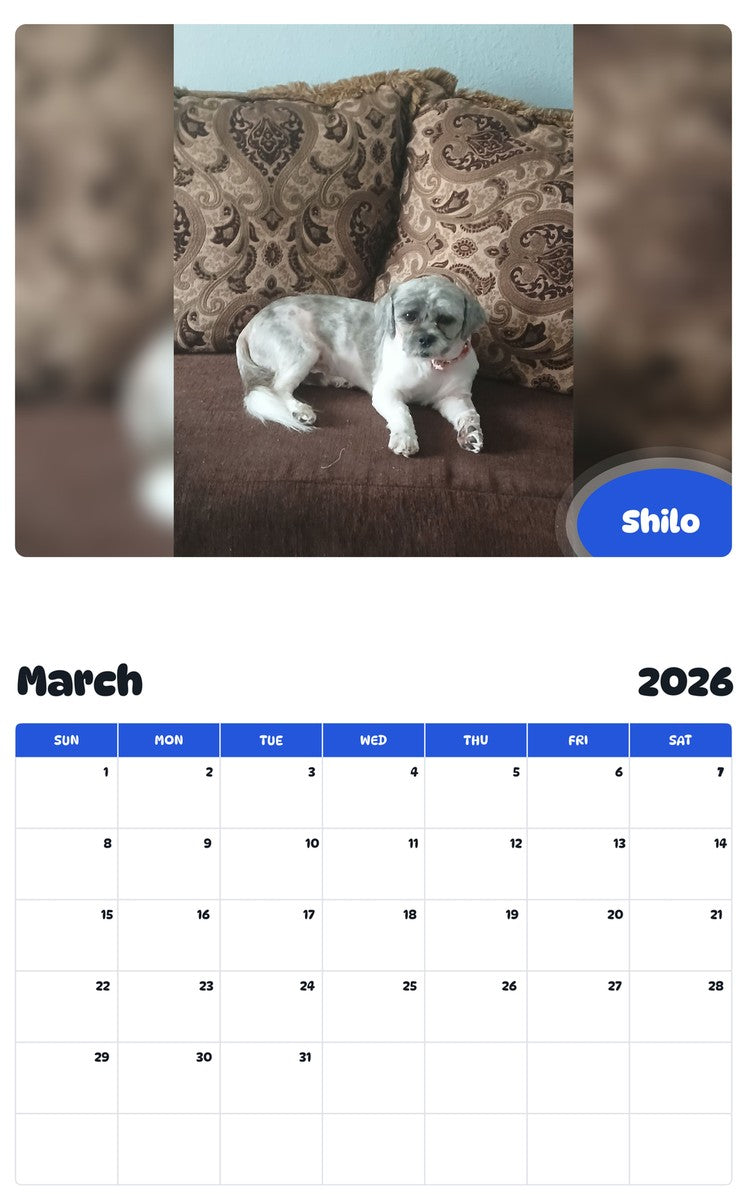 November 2025 - October 2026 Shilo - Pawidols Pet Calendar