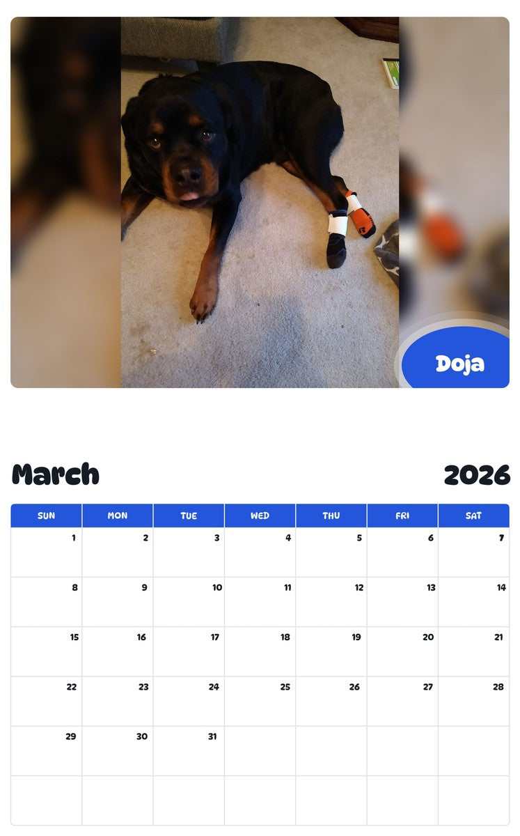 November 2025 - October 2026 Doja - Pawidols Pet Calendar