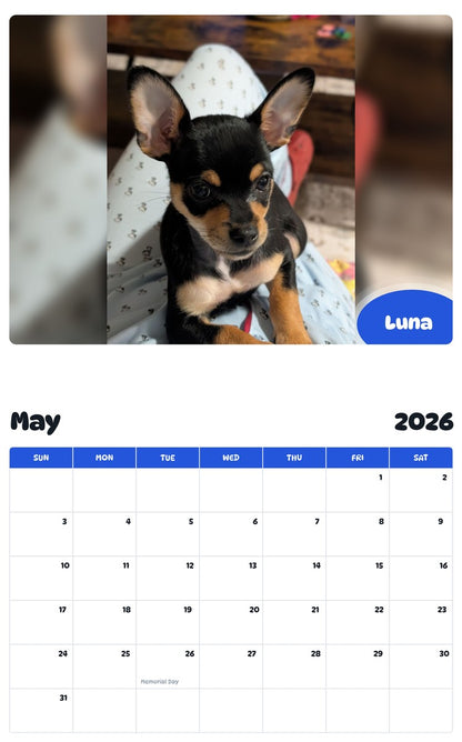 2026 - 2027 Luna - Pawidols Pet Calendar