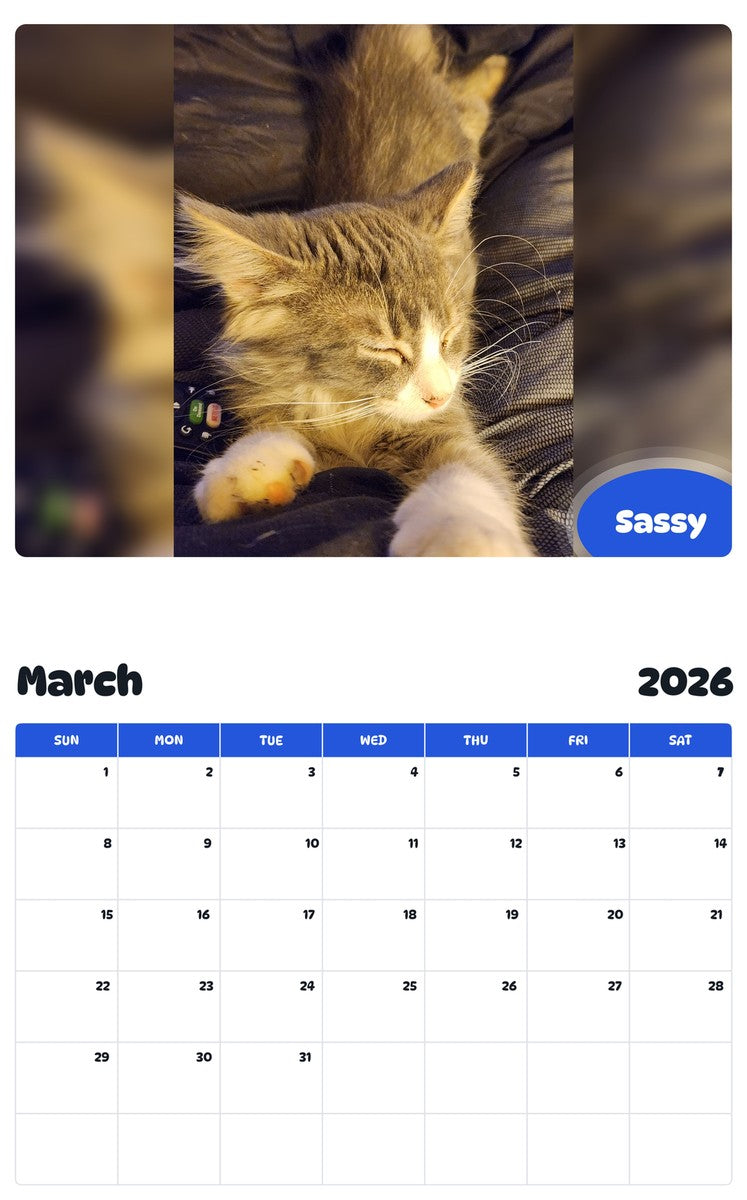 November 2025 - October 2026 Sassy - Pawidols Pet Calendar