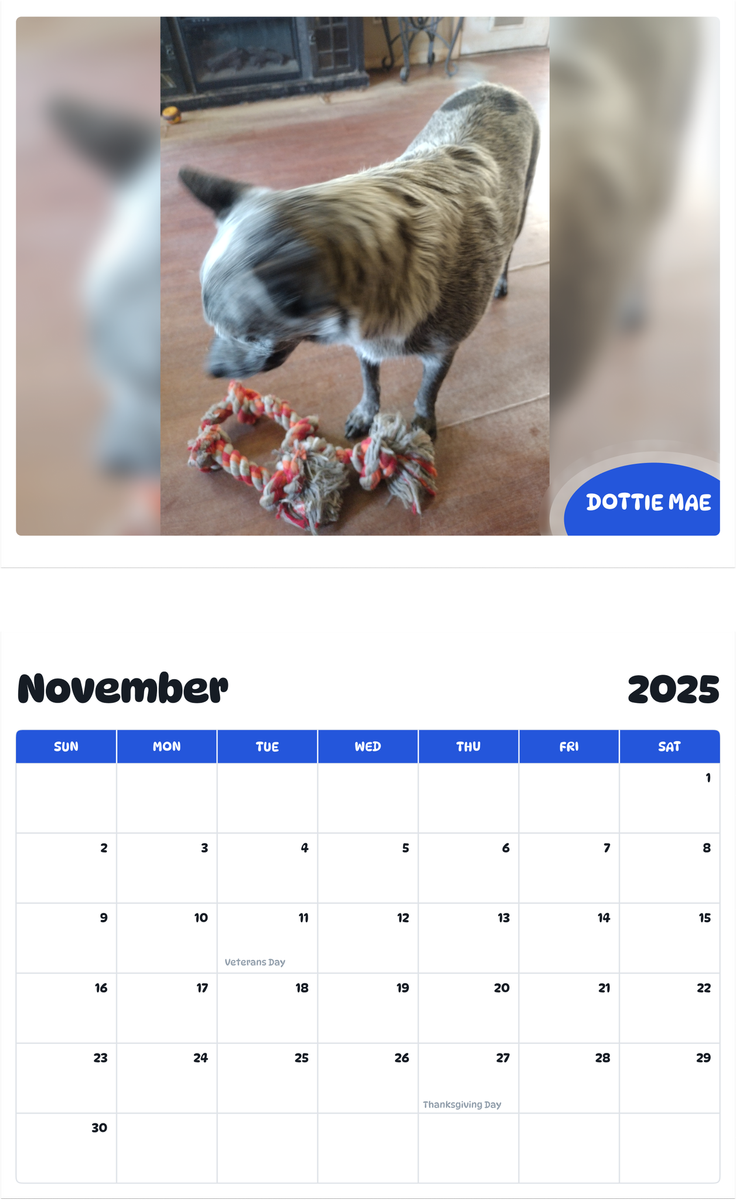 July 2025 - June 2026 Dottie Mae - Pawidols Pet Calendar