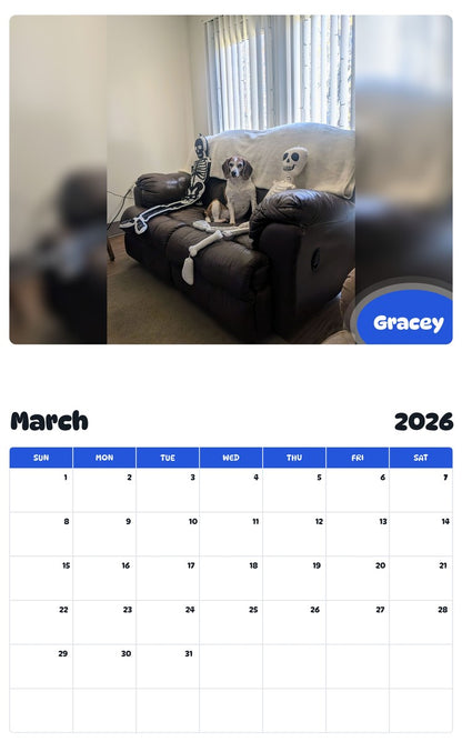 November 2025 - October 2026 Gracey - Pawidols Pet Calendar