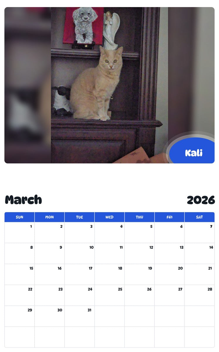 November 2025 - October 2026 Kali - Pawidols Pet Calendar