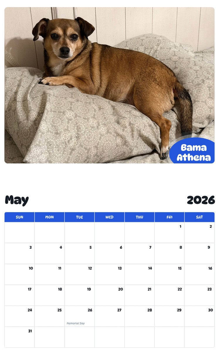 2026 - 2027 Bama Athena - Pawidols Pet Calendar