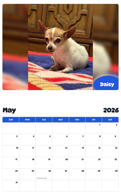 2026 - 2027 Daisy - Pawidols Pet Calendar