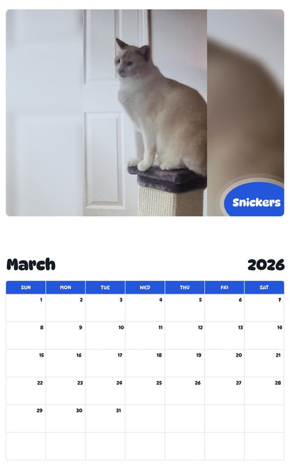 November 2025 - October 2026 Snickers - Pawidols Pet Calendar