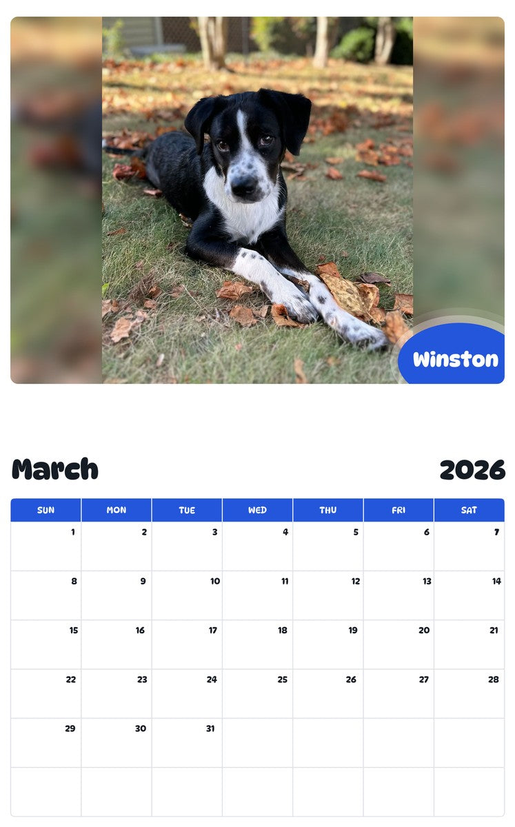 November 2025 - October 2026 Winston - Pawidols Pet Calendar
