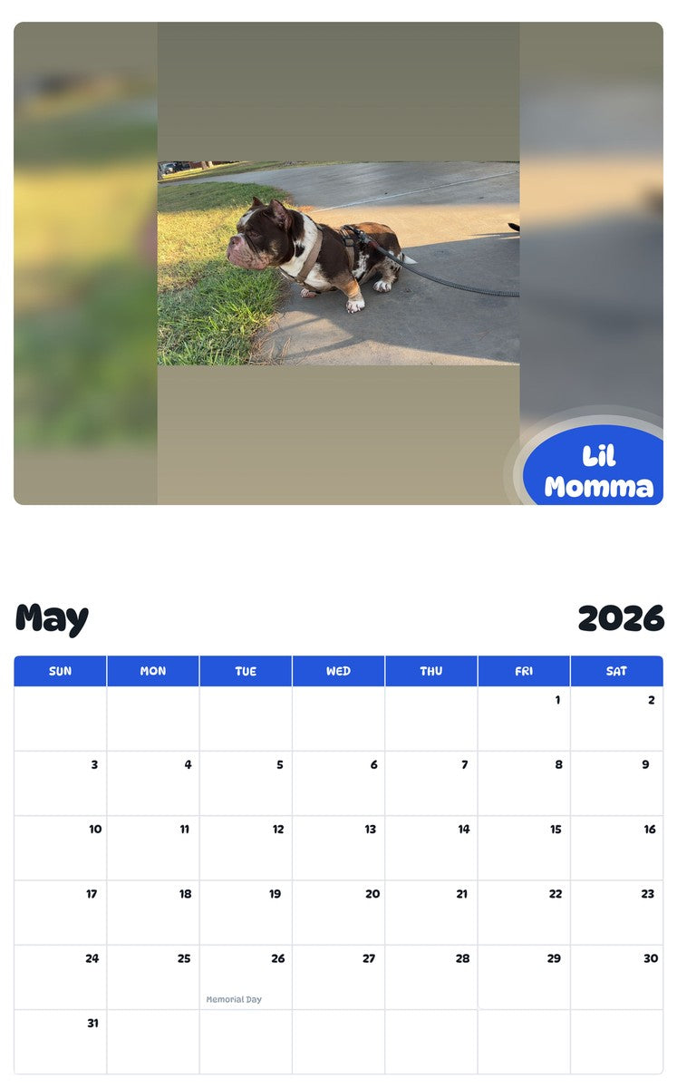 2026 - 2027 Lil Momma - Pawidols Pet Calendar