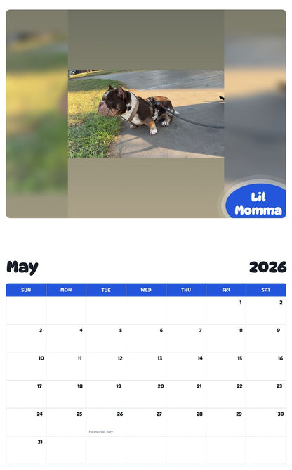 2026 - 2027 Lil Momma - Pawidols Pet Calendar